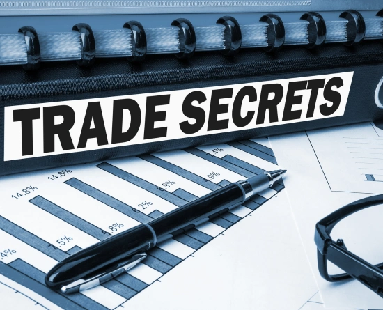 Trade Secret Protection Service in Chennai